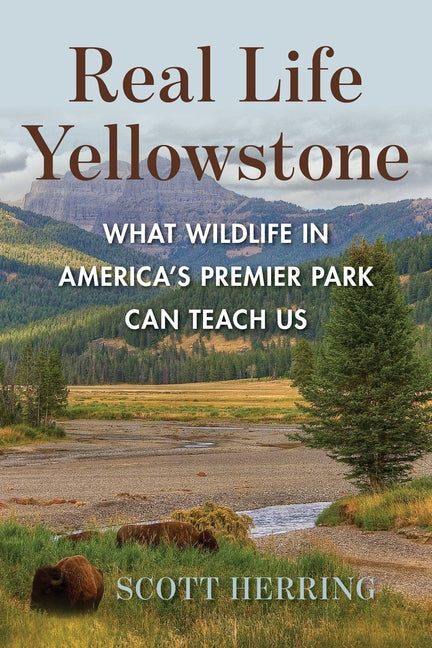 Real Life Yellowstone: What Wildlife in America's Premier Park Can Teach Us