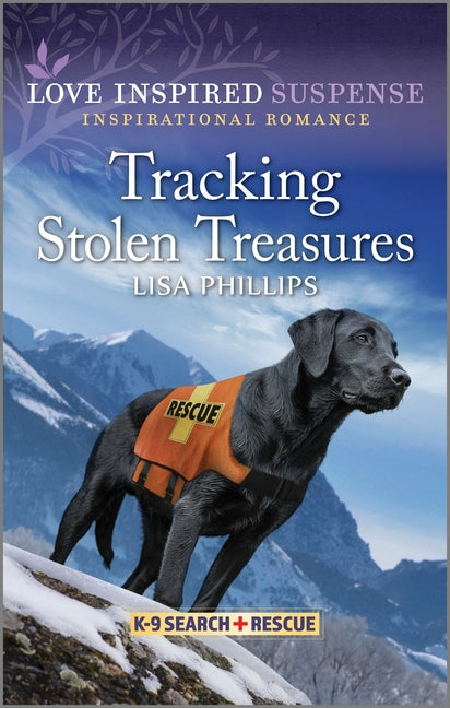 Tracking Stolen Treasures (Original)