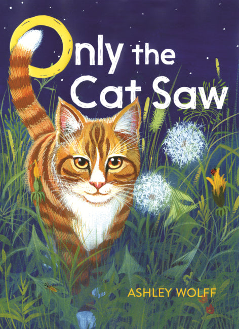 Only the Cat Saw