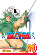 Bleach, Vol. 34 (Original)