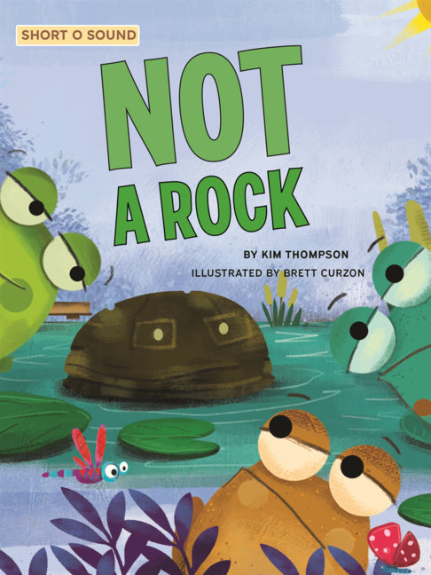Not a Rock