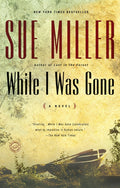 While I Was Gone