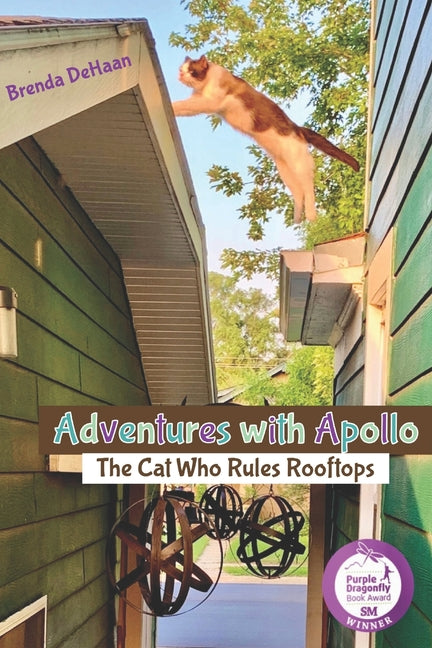 Adventures with Apollo: The Cat Who Rules Rooftops