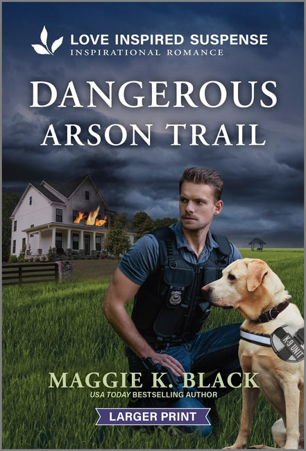 Dangerous Arson Trail (Original)