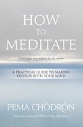 How to Meditate: A Practical Guide to Making Friends with Your Mind