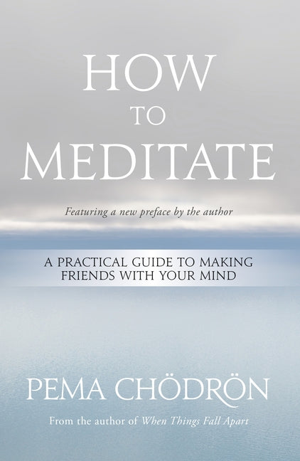 How to Meditate: A Practical Guide to Making Friends with Your Mind