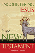 Encountering Jesus in the New Testament: Third Edition (Student Edition, Third)