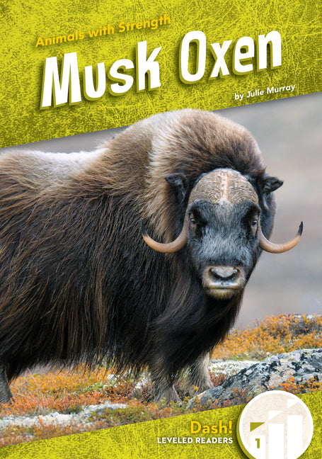 Musk Oxen