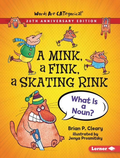 A Mink, a Fink, a Skating Rink, 20th Anniversary Edition: What Is a Noun? (Anniversary)
