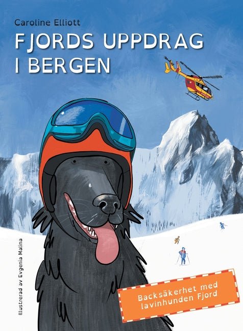 Fjords Uppdrag I Fjällen