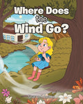 Where Does the Wind Go?