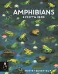 Amphibians Everywhere: (A Kids' Nonfiction Science and Nature Book about Frogs, Toads, Newts, Salamanders, and Habitats for Ages 6-9)