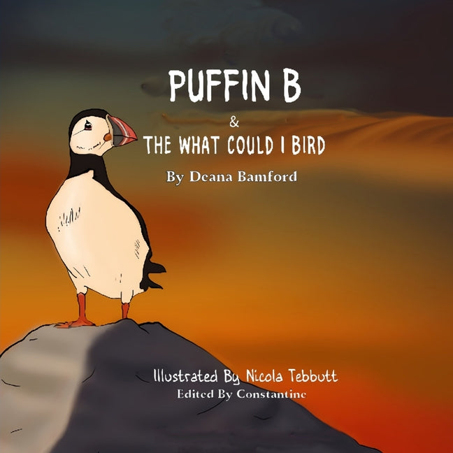 Puffin B: and the 'What Could I' Bird