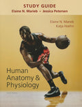 Study Guide for Human Anatomy & Physiology (Revised)