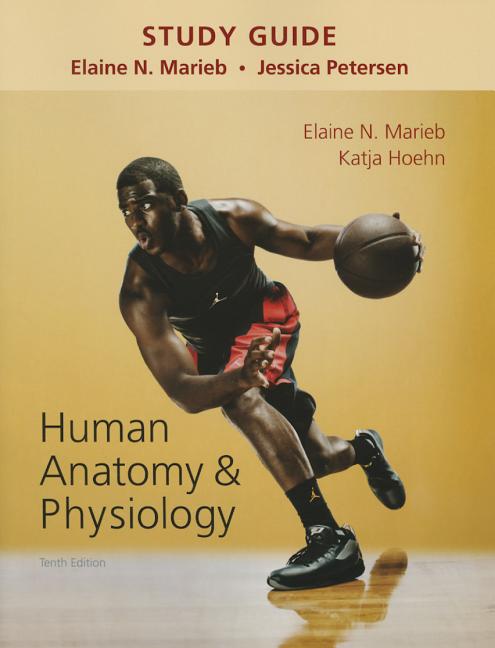 Study Guide for Human Anatomy & Physiology (Revised)