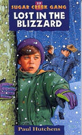 Lost in the Blizzard: Volume 17 (Rev)