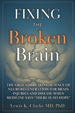 Fixing the Broken Brain