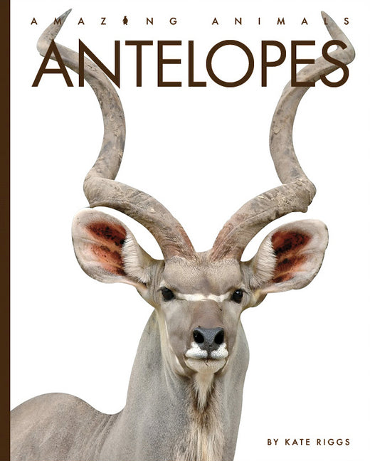Antelopes